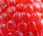 Background with Close-up of Ripe Red Juicy Raspberry