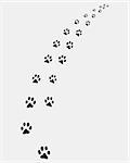 Footprints of cat, turn right-vector illustration