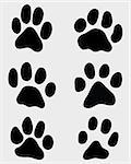 Black print of paw of cats, vector illustration