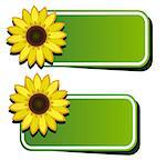Vector stickers and sunflower