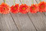 Wooden background with orange gerbera flowers and copy space