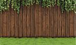 Garden with old wooden fence, grass and leaf plant-3D Rendering