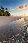 Morning light on a deserted beach on an island in the Northern Huvadhoo Atoll, Maldives, Indian Ocean, Asia