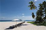 Sun loungers on the beach on an island in the Northern Huvadhu Atoll, Maldives, Indian Ocean, Asia