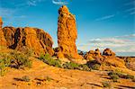 Beautiful red sandstone formations in the Arches National Park, Utah, United States of America, North America