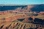 View over the canyonlands and the Colorado River from the Dead Horse State Park, Utah, United States of America, North America