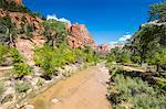 Virgin River flowing through the Zion National Park, Utah, United States of America, North America