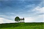 Little Chapel with Tree in Spring, Aidlinger Hohe, Upper Bavaria, Bavaria, Germany