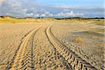 Lane in Landscape of Dunes east Norderney, Summer, Norderney, East Frisia Island, North Sea, Lower Saxony, Germany