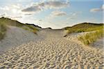 Path through the Dunes to the Beach with Sun, Summer, Norderney, East Frisia Island, North Sea, Lower Saxony, Germany