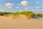 Dunes in Summer, Norderney, East Frisia Island, North Sea, Lower Saxony, Germany