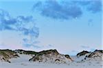 Dunes at Dusk in Summer, Norderney, East Frisia Island, North Sea, Lower Saxony, Germany