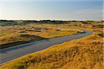 Winding Road in Summer, Norderney, East Frisia Island, North Sea, Lower Saxony, Germany