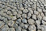 Close-up of Basalt Stones, bank reinforcement, Norderney, East Frisia Island, North Sea, Lower Saxony, Germany