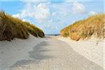 Path through the Dunes to the Beach, Summer, Norderney, East Frisia Island, North Sea, Lower Saxony, Germany