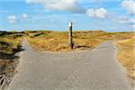 Forked Path through the Dunes to the Beach, Summer, Norderney, East Frisia Island, North Sea, Lower Saxony, Germany