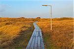 Wooden Planks, Boardwalk Path between Dunes with Lamp post, Helgoland, Dune, North Sea, Island, Schleswig Holstein, Germany