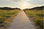 Dunes Path with Sun in Summer, Norderney, East Frisia Island, North Sea, Lower Saxony, Germany