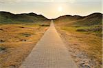 Dunes Path with Sun in Summer, Norderney, East Frisia Island, North Sea, Lower Saxony, Germany