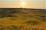 View over Dunes at Sunset, Norderney, East Frisia Island, North Sea, Lower Saxony, Germany