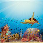 Big yellow turtle swimming over the coral reef in a blue ocean. Underwater vector.