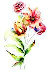 Decorative spring flowers, watercolor illustration