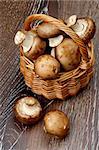 Gourmet Raw Portabello Mushrooms in Wicker Basket closeup on Dark Wooden background