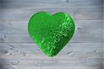 Green fuzzy heart against bleached wooden planks background