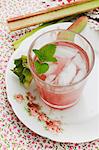 A glass of rhubarb spritzer with ice cubes and pieces of rhubarb on an old, rose patterned plate