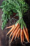 A bunch of carrots on a wooden surface