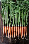 A row of carrots on a wooden surface