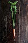 A single carrot on a wooden surface