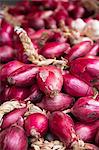 Red onions and garlic (close-up)