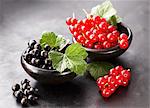 Black currants and redcurrants