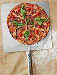 Vegetable pizza with tomatoes, aubergines and rocket