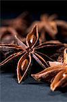 Star anise against a black background