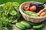 Summer garden harvest: lettuce, cucumber, dill, parsley, savory, beans, carrots and tomatoes