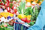 Fresh vegetables in a checked shopping bag