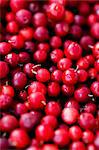 Cranberries (full frame)