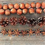 An autumnal arrangement of nuts, pine cones and star anise