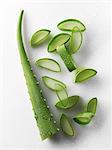 Aloe vera, a shoot and slices