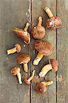 Bay boletes on a rustic wooden table