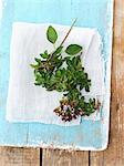 Fresh oregano on a blue wooden board