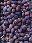 Freshly harvested damsons