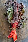 A bunch of red chard