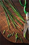 Fresh chives and kitchen scissors on a wooden board