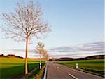 Highway through Weser Hills, North Rhine-Westphalia, Germany