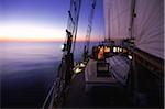 Tree of Life during Calm Passage South along East Coast of USA