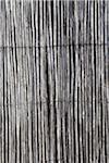 Close-up of Fence made from Thin Wooden Sticks, Royan, Charente-Maritime, France