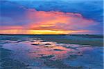 Marshland at Sunset, Digue a la Mer, Camargue, Bouches-du-Rhone, Provence-Alpes-Cote d'Azur, France